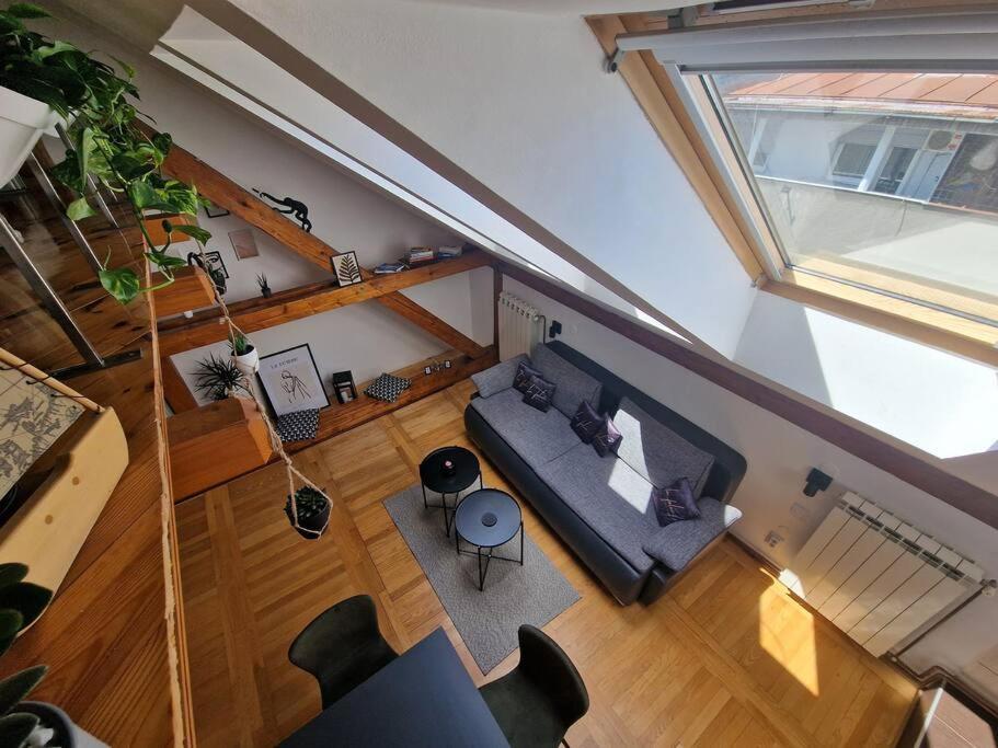 Captain Misha'S Place Beograd Eksteriør bilde