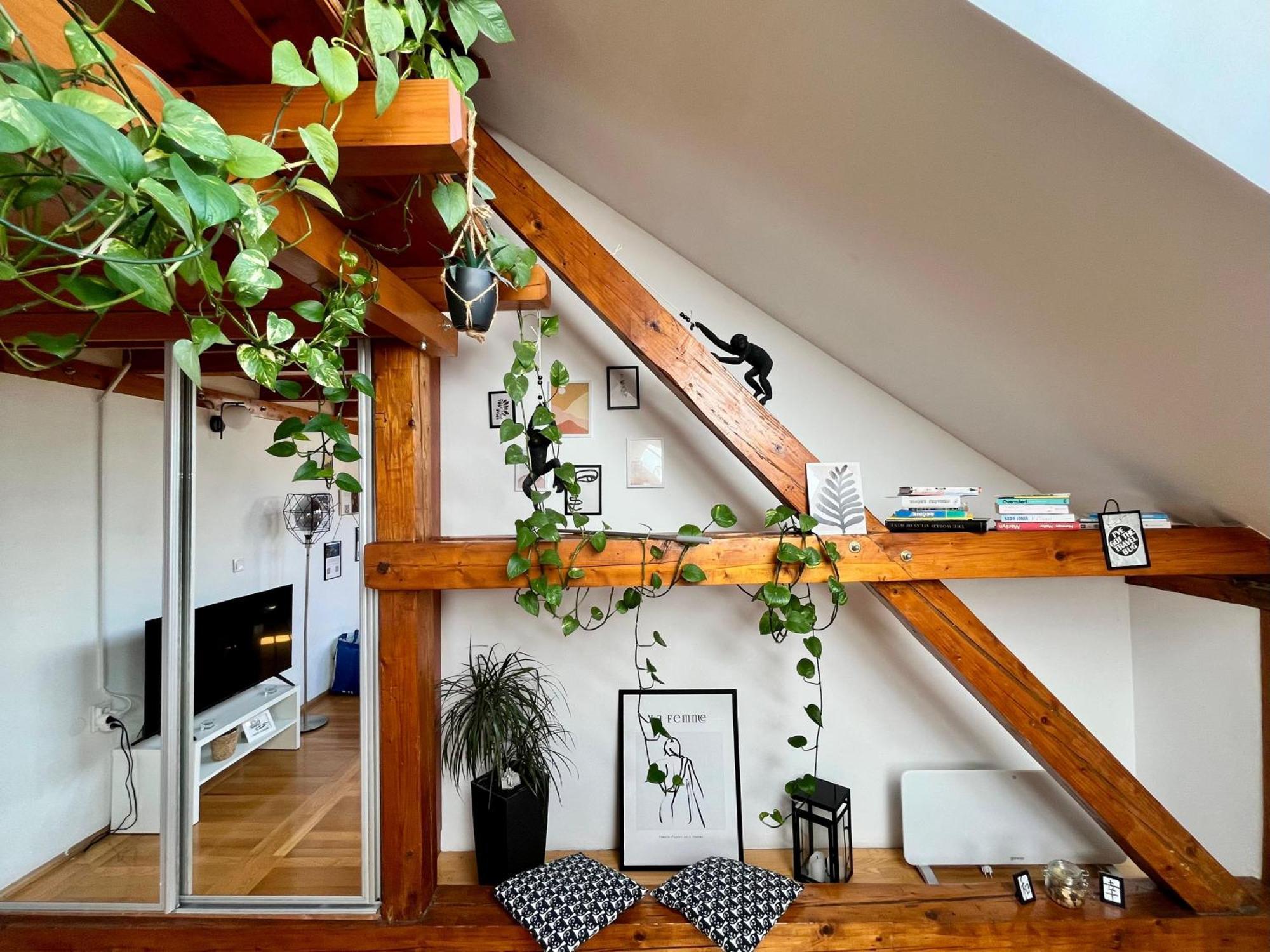 Captain Misha'S Place Beograd Eksteriør bilde