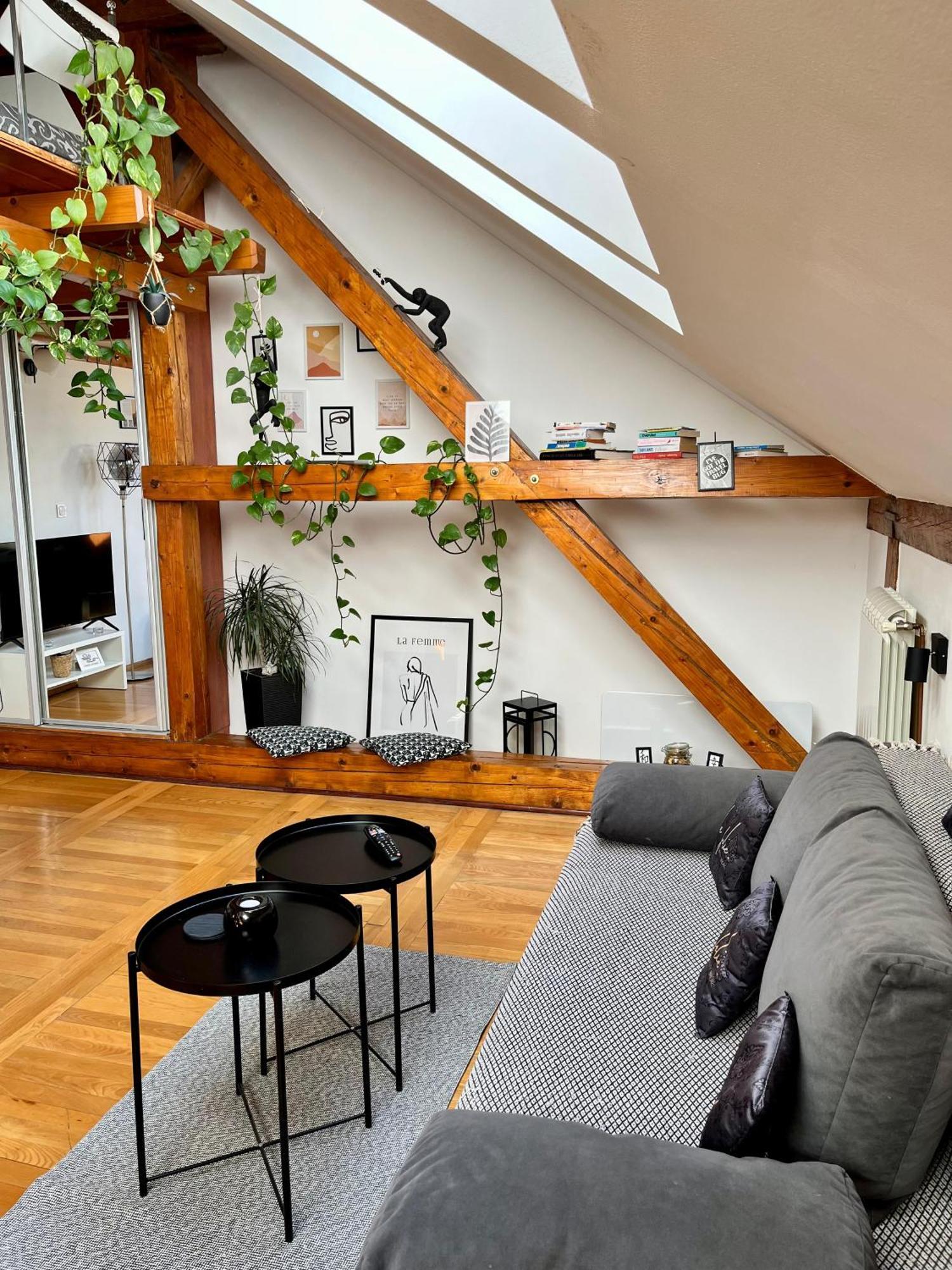 Captain Misha'S Place Beograd Eksteriør bilde